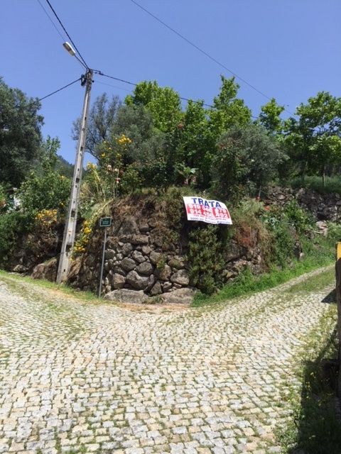 Terreno 700m² para construção e 5000m² Vilar de ferreiros mondim basto