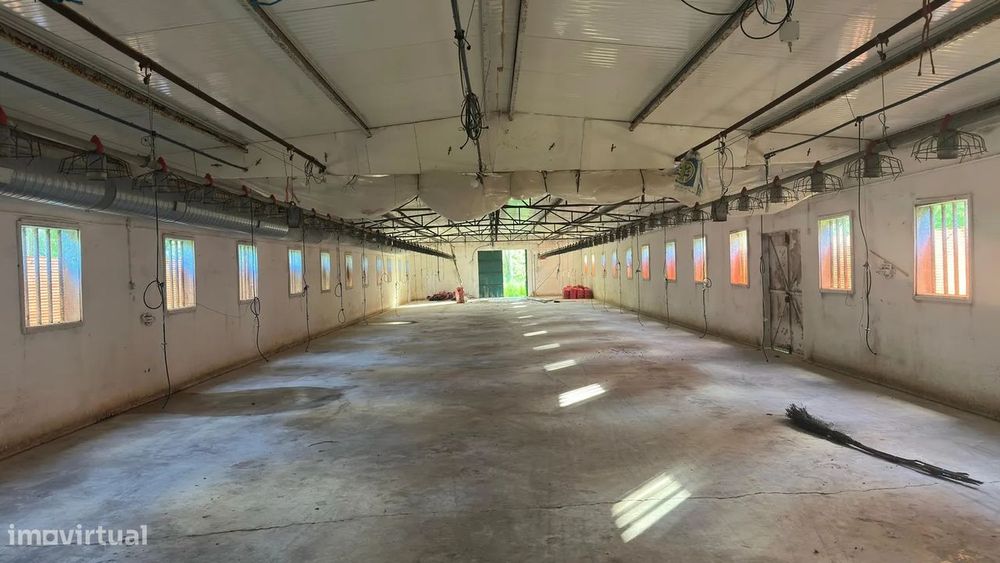 Armazém C/Terreno Amplo | Perto Da Zona Industrial De Estarreja