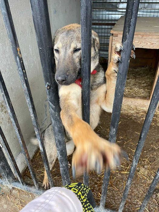 Муха дуже чекає на свою турботливу і люблячу сім'ю..