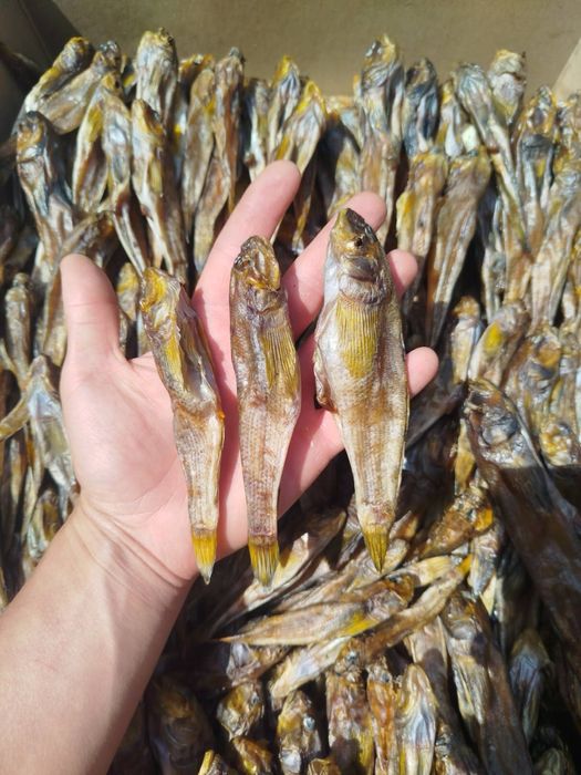 Бичок вʼялений ікряний