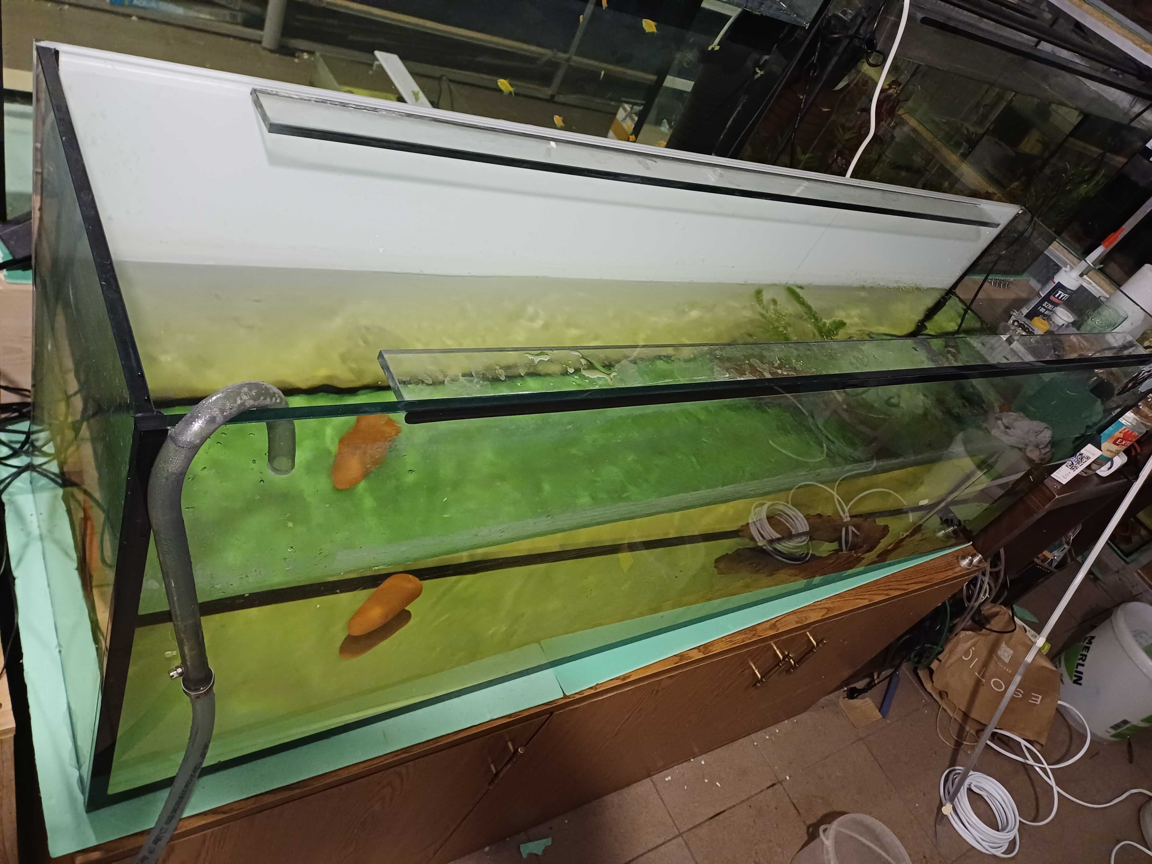 Akwarium 300L 150x40x50h jak nowe. Możliwość zakupu z szafką