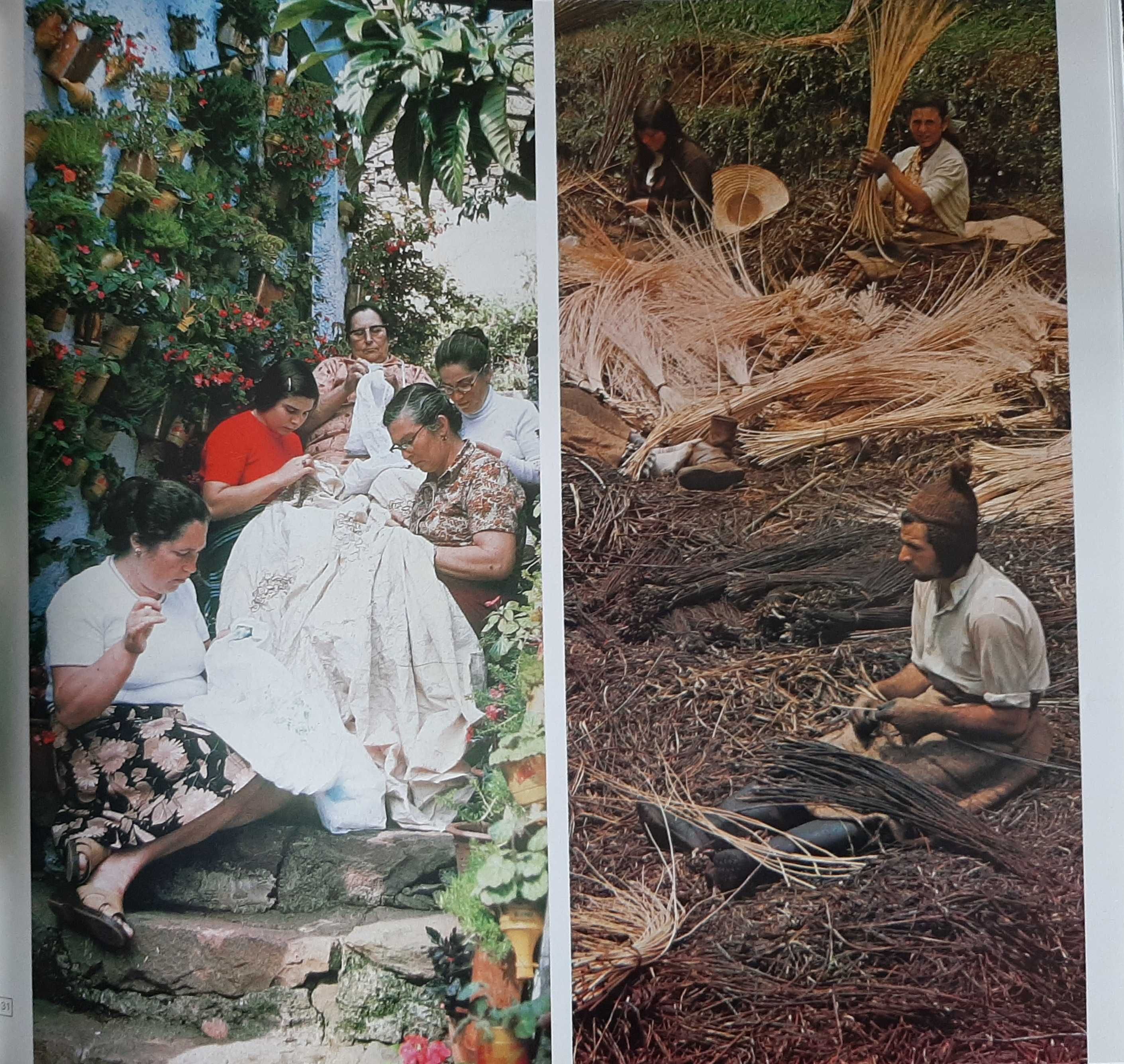 Glimpse of Madeira e Funchal / fotografias anos 80 raro