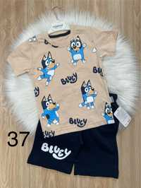 Zestaw bluey 116