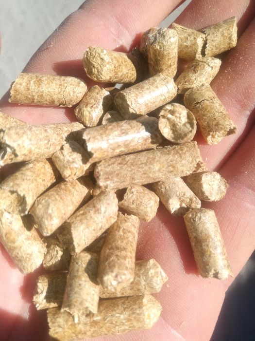 Наповнювач для котів  10кг