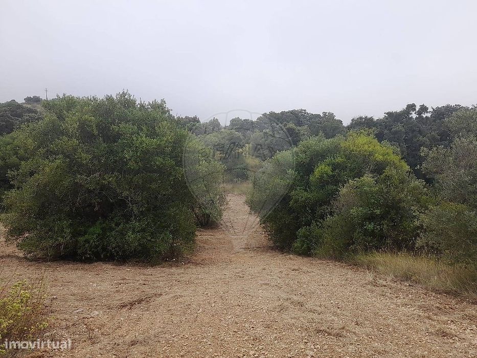 Terreno  para venda