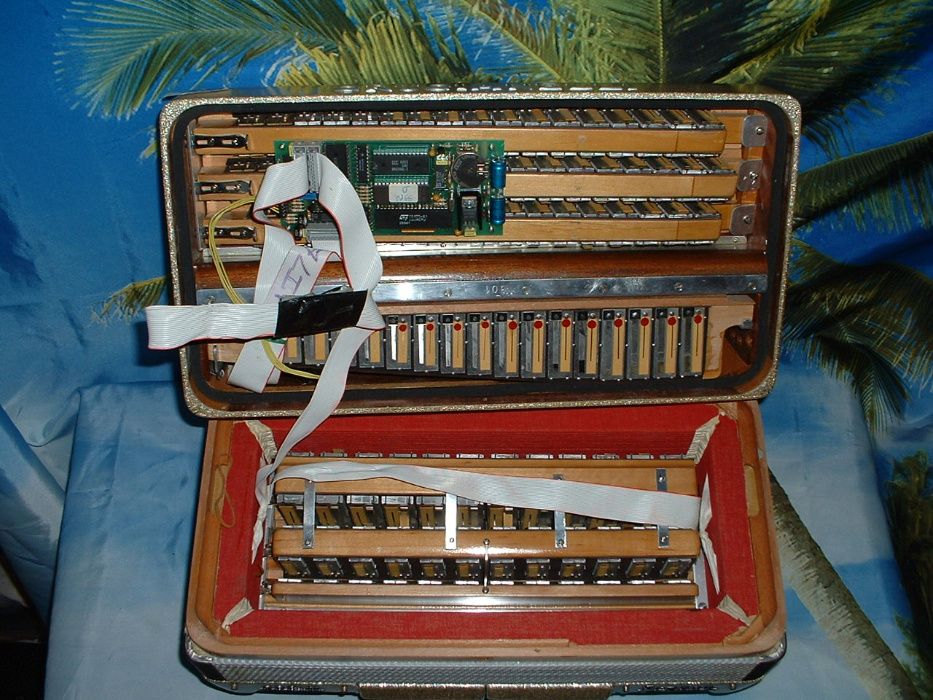 Acordeão Avenda G, .163