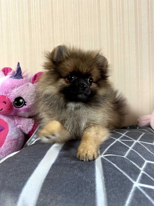 Маленька радість