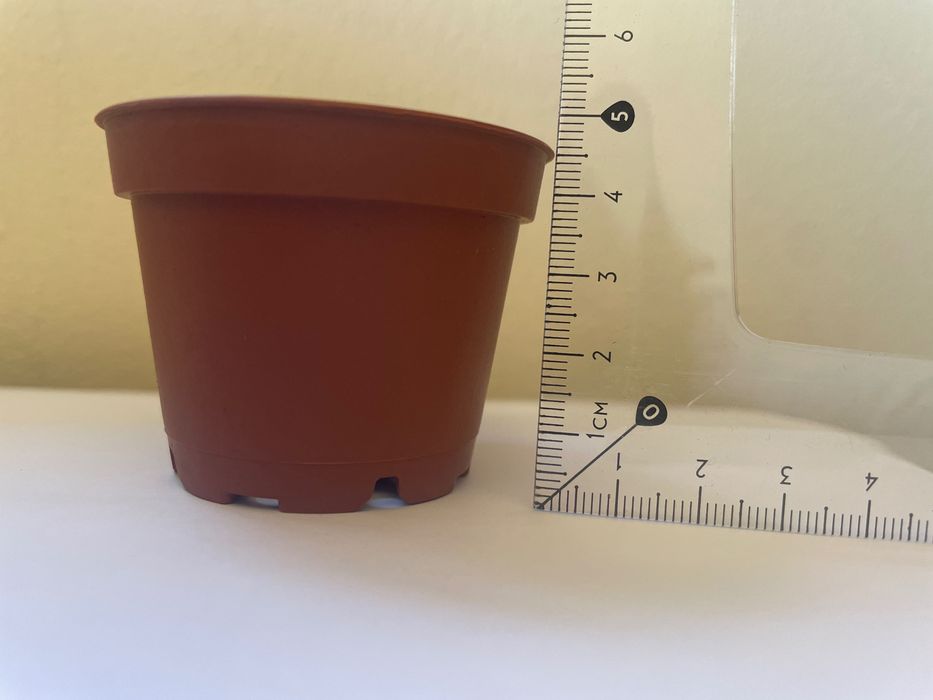 70 Vasos de plástico 6cm diâmetro