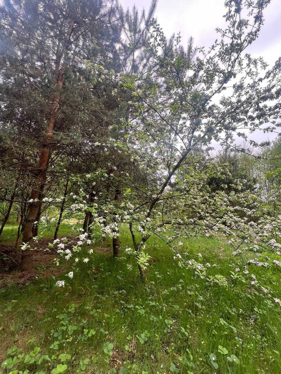 Продаж земельної ділянки, 6.31 сот, Поршна