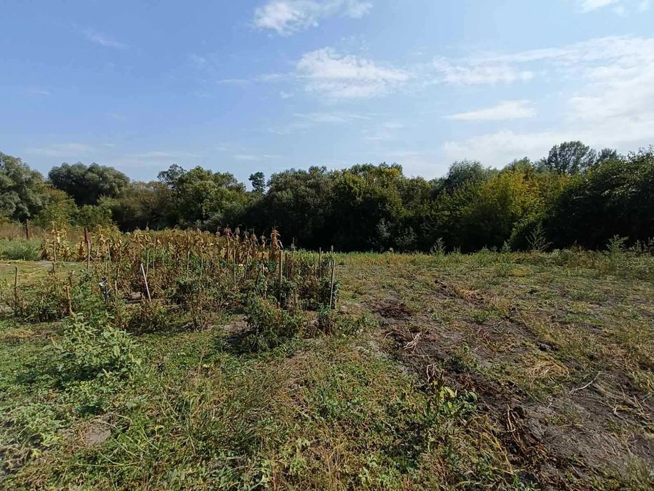 Два Будинку за ціною Одного, центр с.Мелесівка!