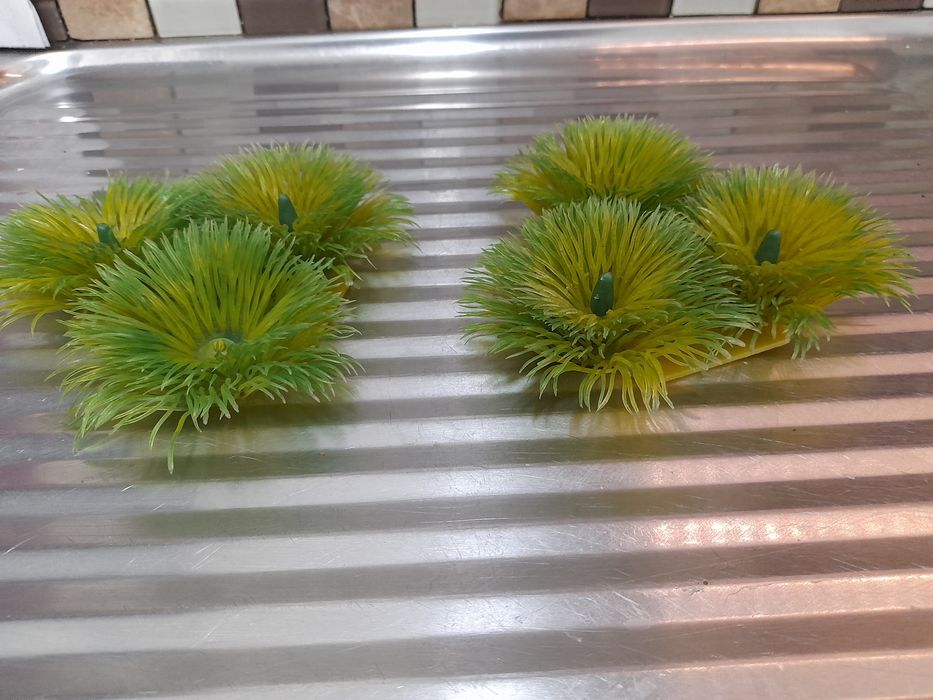 Plantas decorativas para aquário