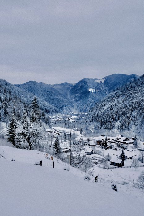 БУДИНОЧКИ В КАРПАТАХ | Королівське місце | ЧАН