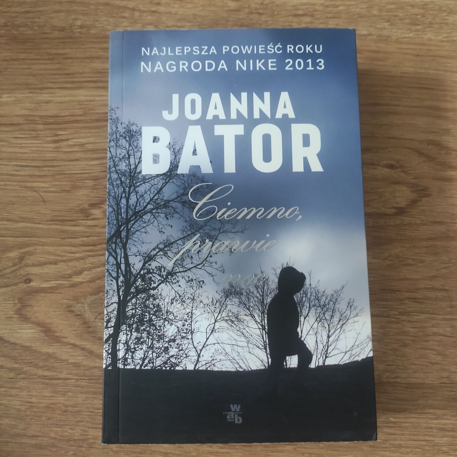 Ciemno, prawie noc - Joanna Bator