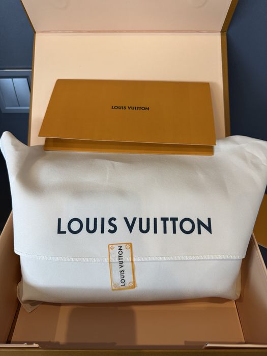 Сумка Louis Vuitton Diane Monogram повний комплект