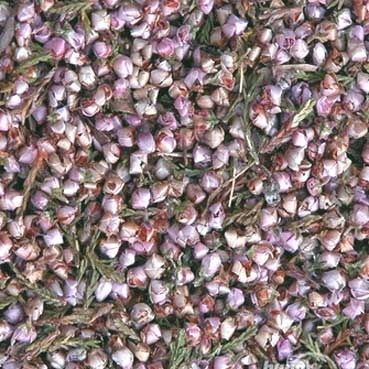 Wrzos zwyczajny kwiat suszony 1 kg