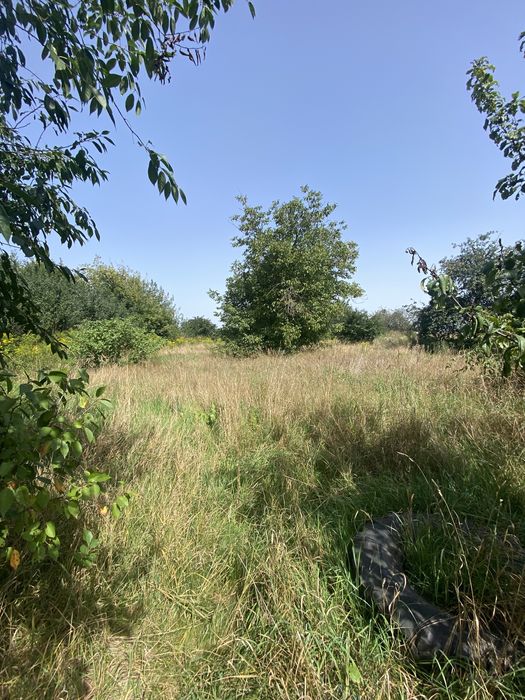 Ділянка в селі Микуличі