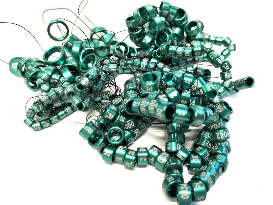 Obrączki aluminiowe dla papug 2026 zielone, obrączki stałe, rodowe