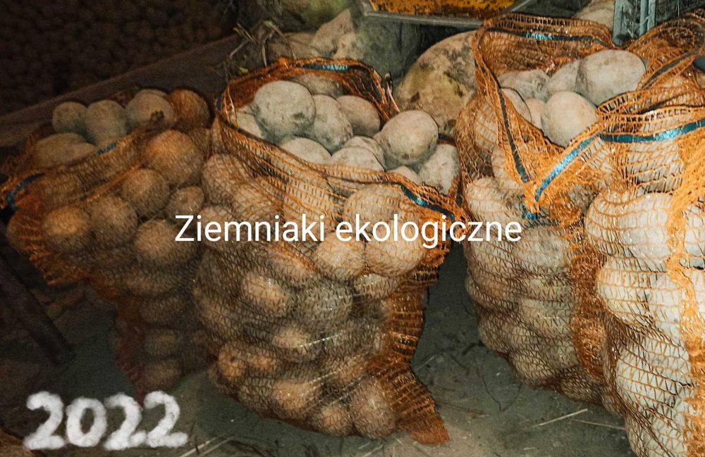 Sprzedam ziemniaki ekologiczne, Denar, BellaRose, Gala