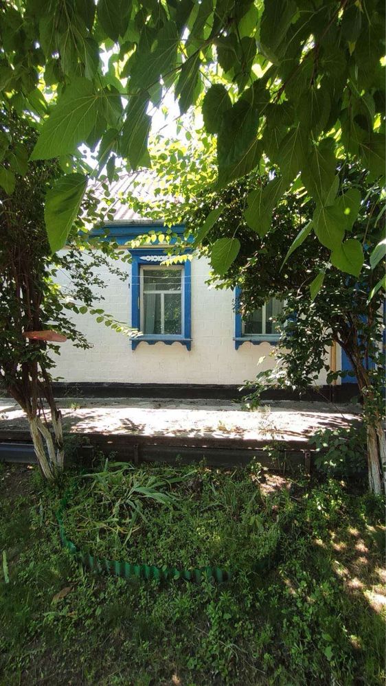 Продам будинок з газом Пологі Яненькі