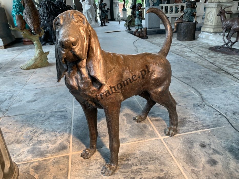 Bloodhound Pies z brązu rzeźba i inne