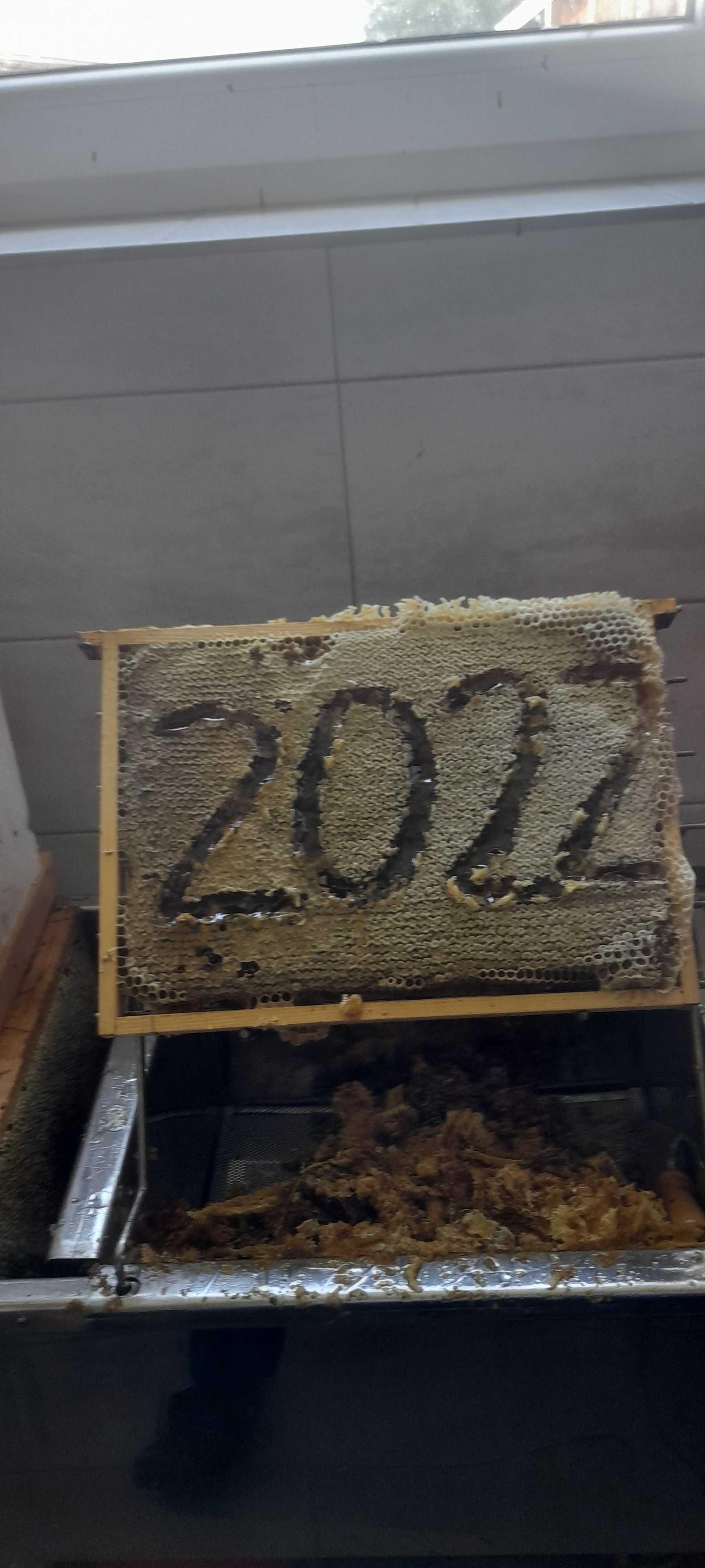 Odkłady pszczele 2024.
