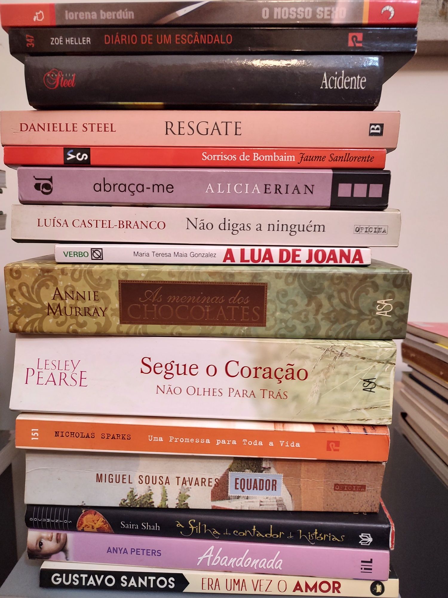 Lote de Livros - Danielle Steel, Lesley Pearse, Richard Zimler, etc