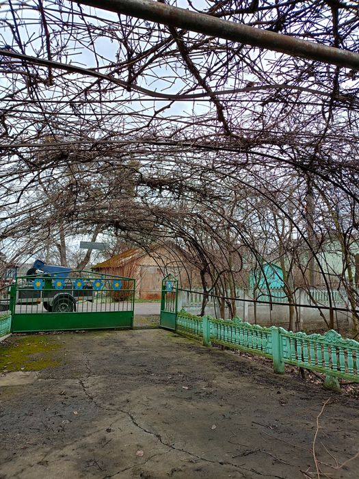 Послуги висоторізом, обрізка дерев та стрижка кущів