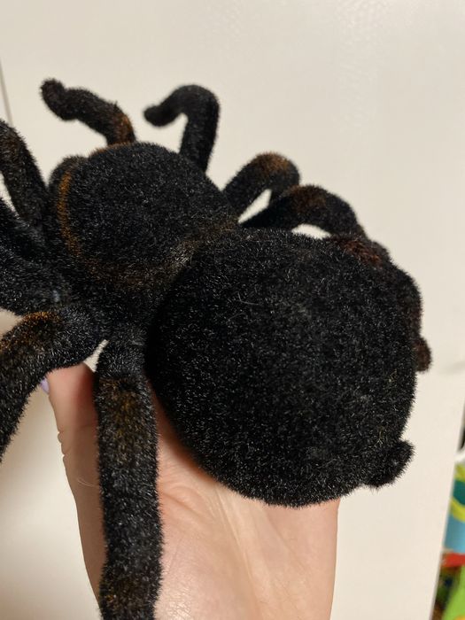 Павук на пульті керування