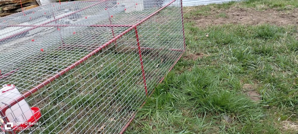 Sprzedam klatkę na króliki lub na kury