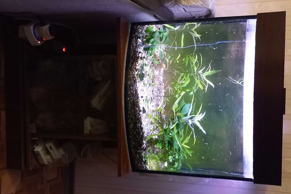 Аквариум 90 л с подсветкой, грунтом, подставкой под компрессор