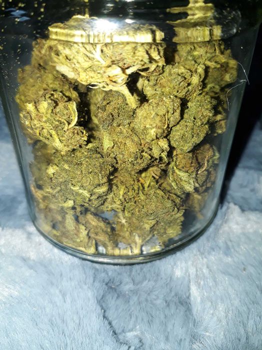 1g Trainwreck  Susz Roślinny cbt cbl cbc Raj Haj z Kaliformii! Działa!
