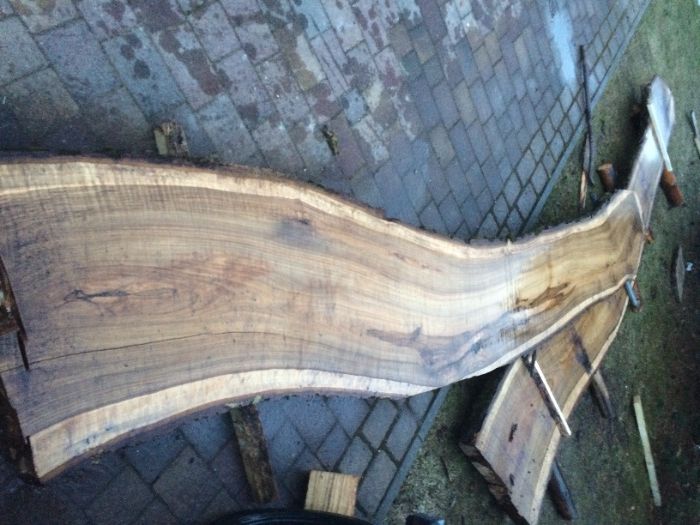 Suche foszty orzech włoski / Plastry / Żywica / Monolity /Tarcia/Deski