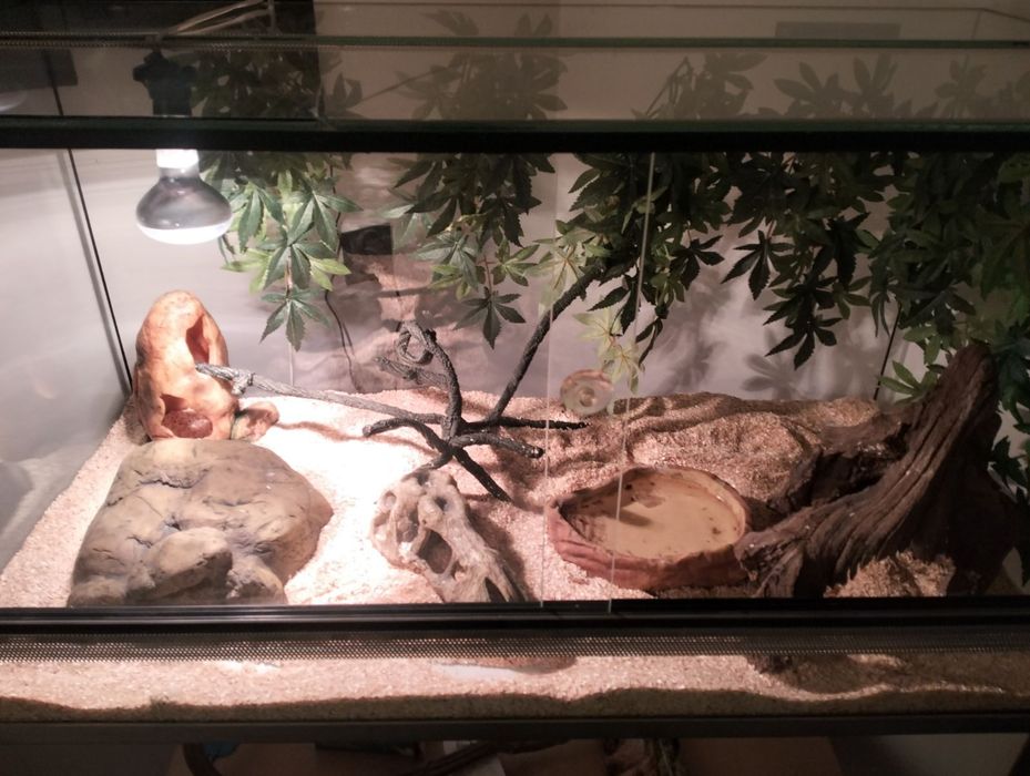 Sprzedam Terrarium