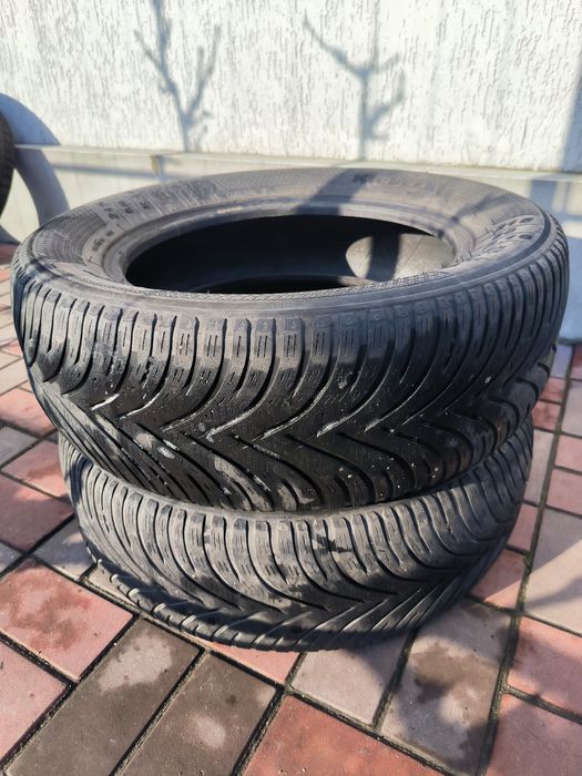 Скати зимові R 16