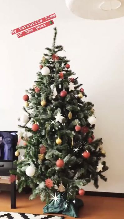 Pinheiro Natal - usado