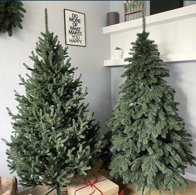 Ялинка лита /ель Siga Group з заводу Ковалівська, Альпійська, Віденськ