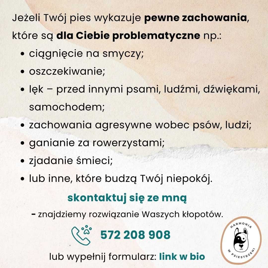 Psy - konsultacje behawioralne, szkolenia, spacery socjalizacyjne