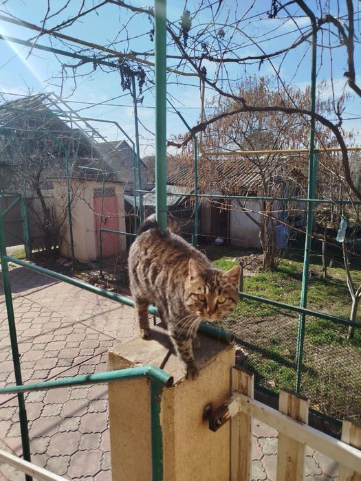 3к дом на Барановке
