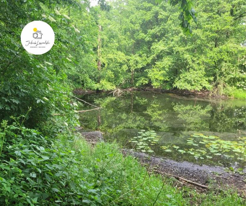 Wyjątkowa działka z domkiem i stawem – Ryczołek