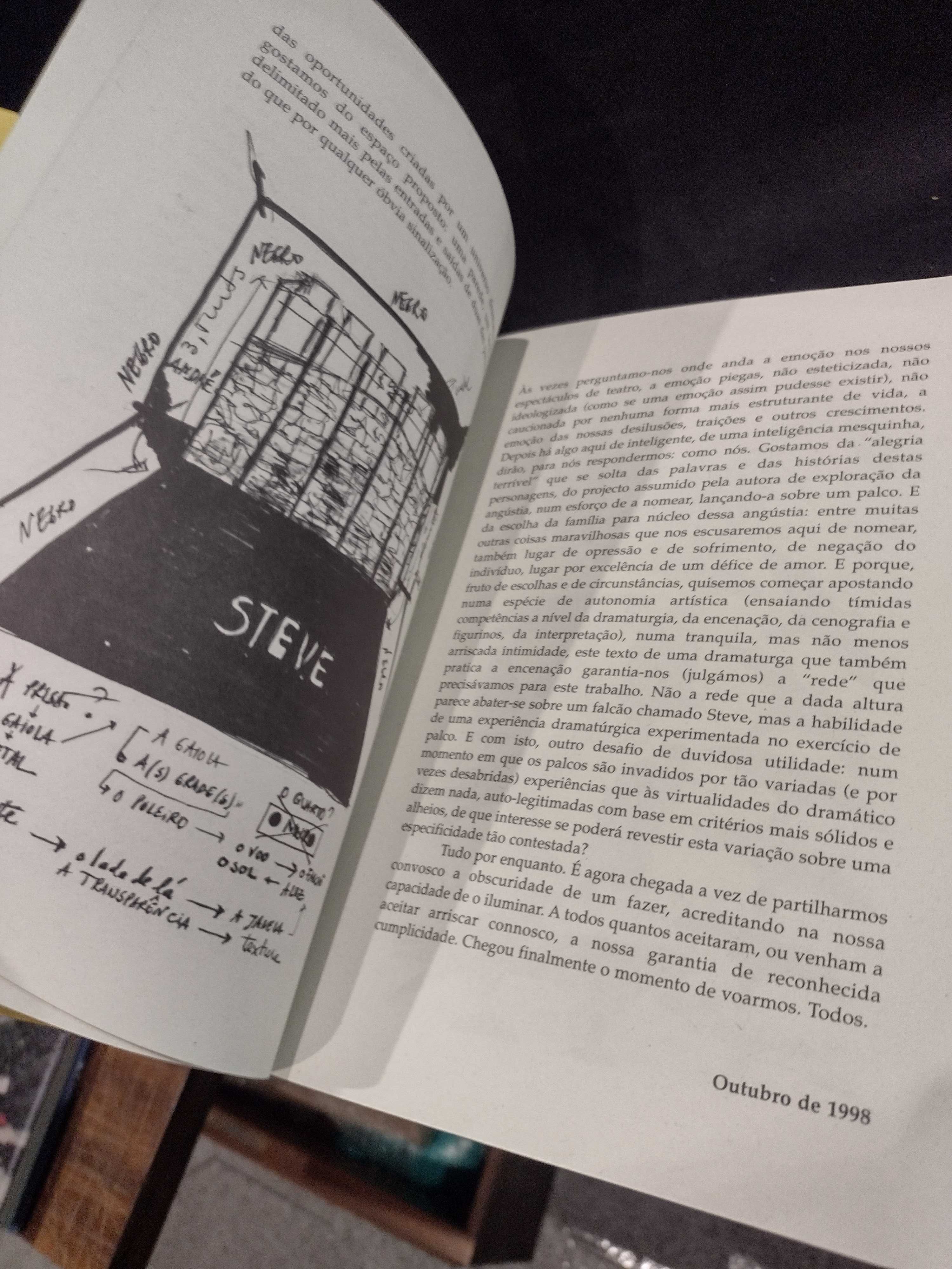 O Falcão de Marie Laberge "Teatro"
