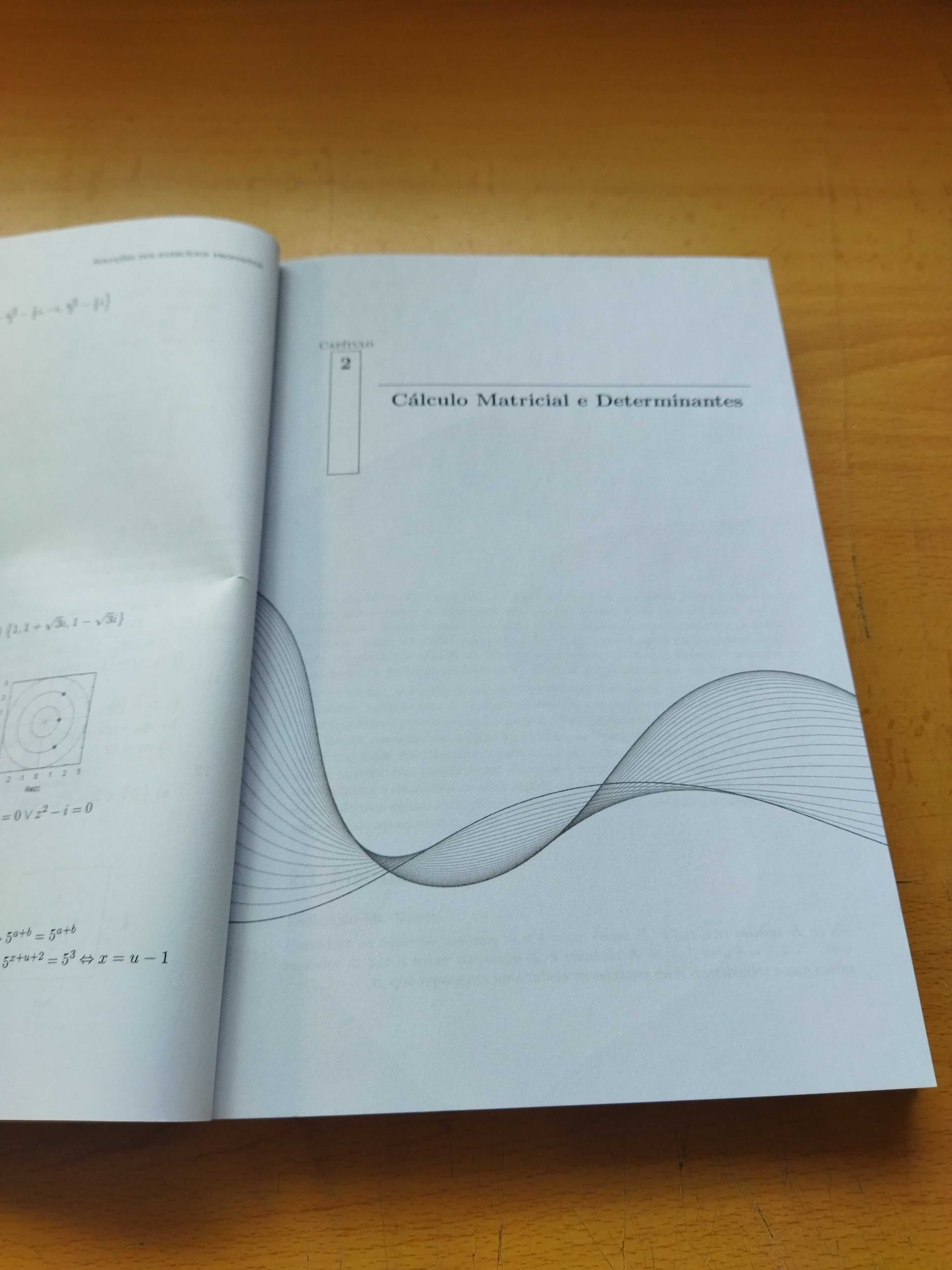 Álgebra Matricial - Conceitos, Exercícios e Aplicações
2ª Edição