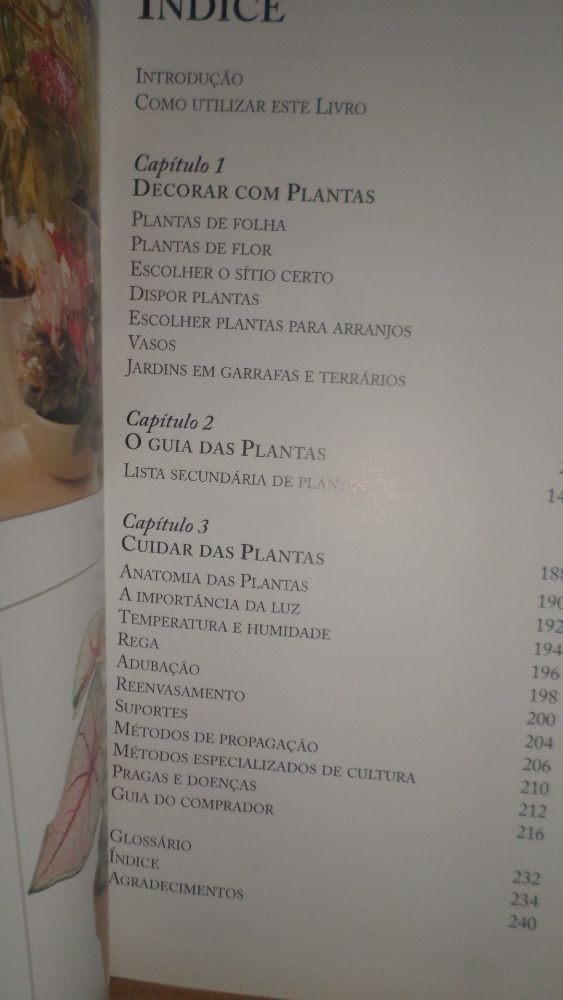 O grande livro das plantas de interior