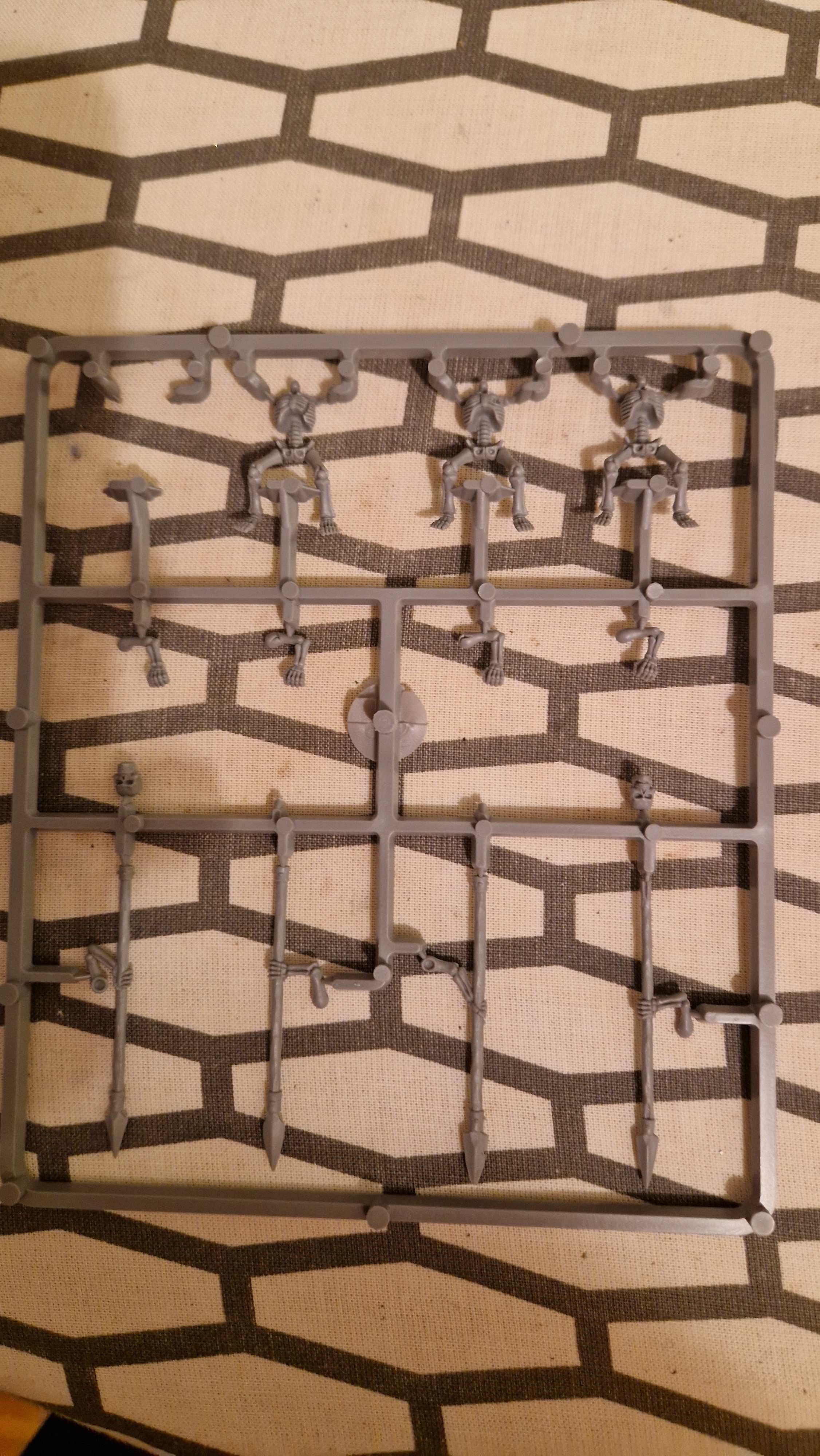 Warhammer Tomb Kings jeźdźcy i wojownicy