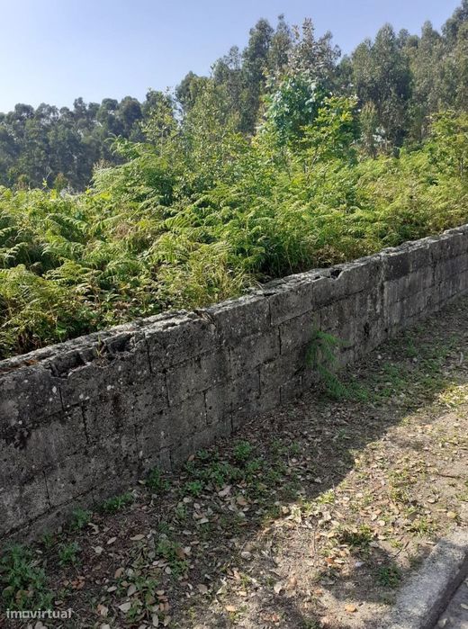 Vende-se Terreno urbano em Sanguedo com 700 m2