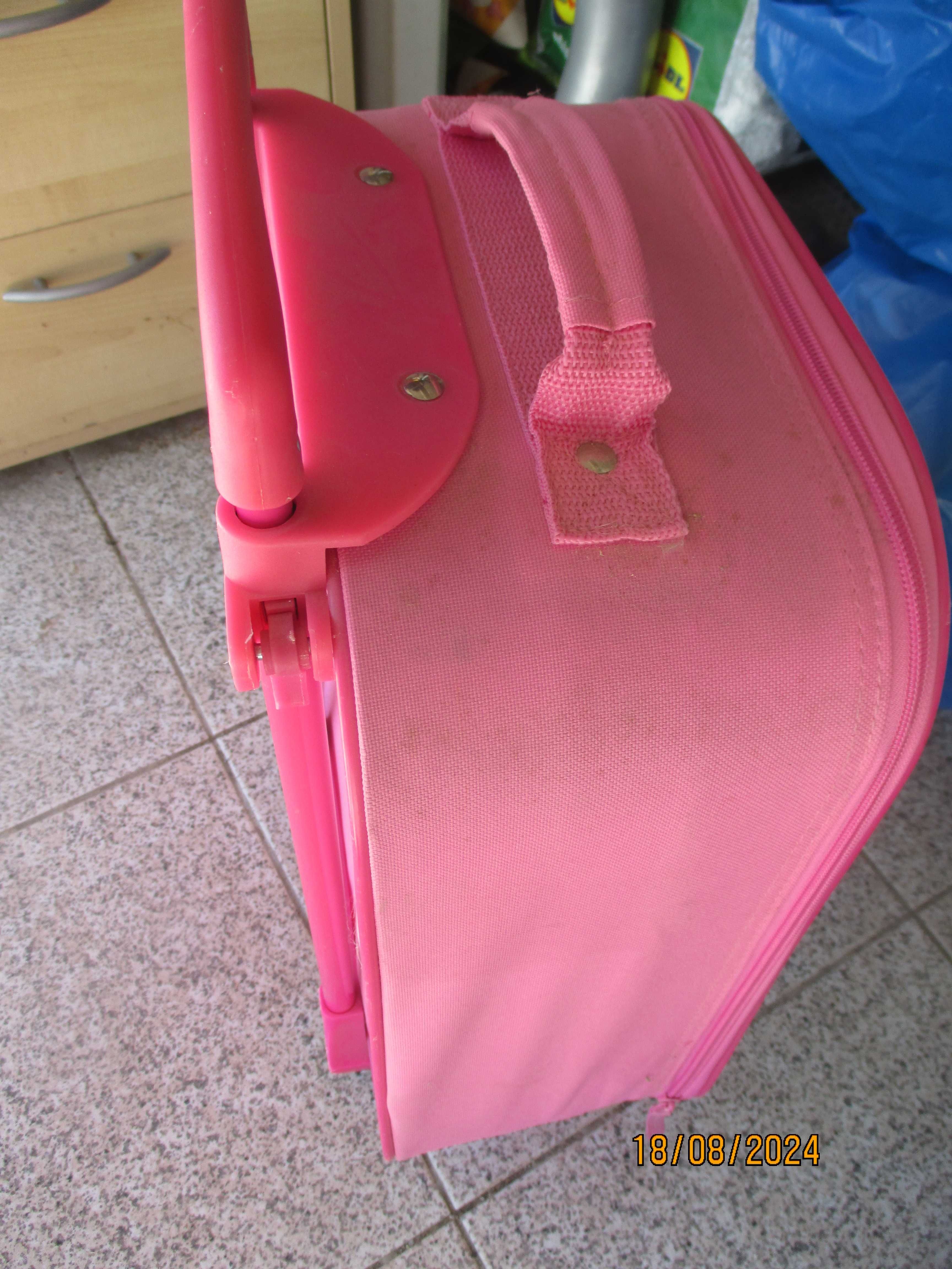 Trolley para criança - Elsa and Anna