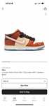 Кросівки Nike Dunk Social Status