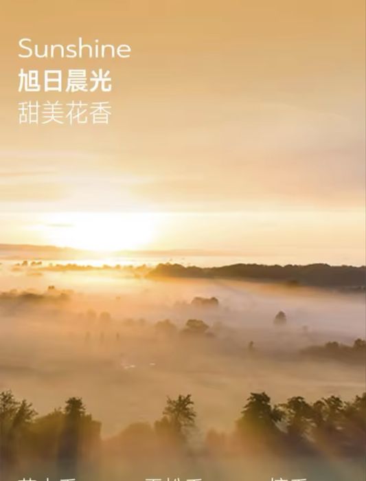 Denza n7 ,n8 ,D9 набір ароматизаторів