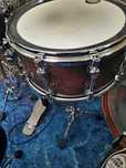 werbel Tama starphonic walnut