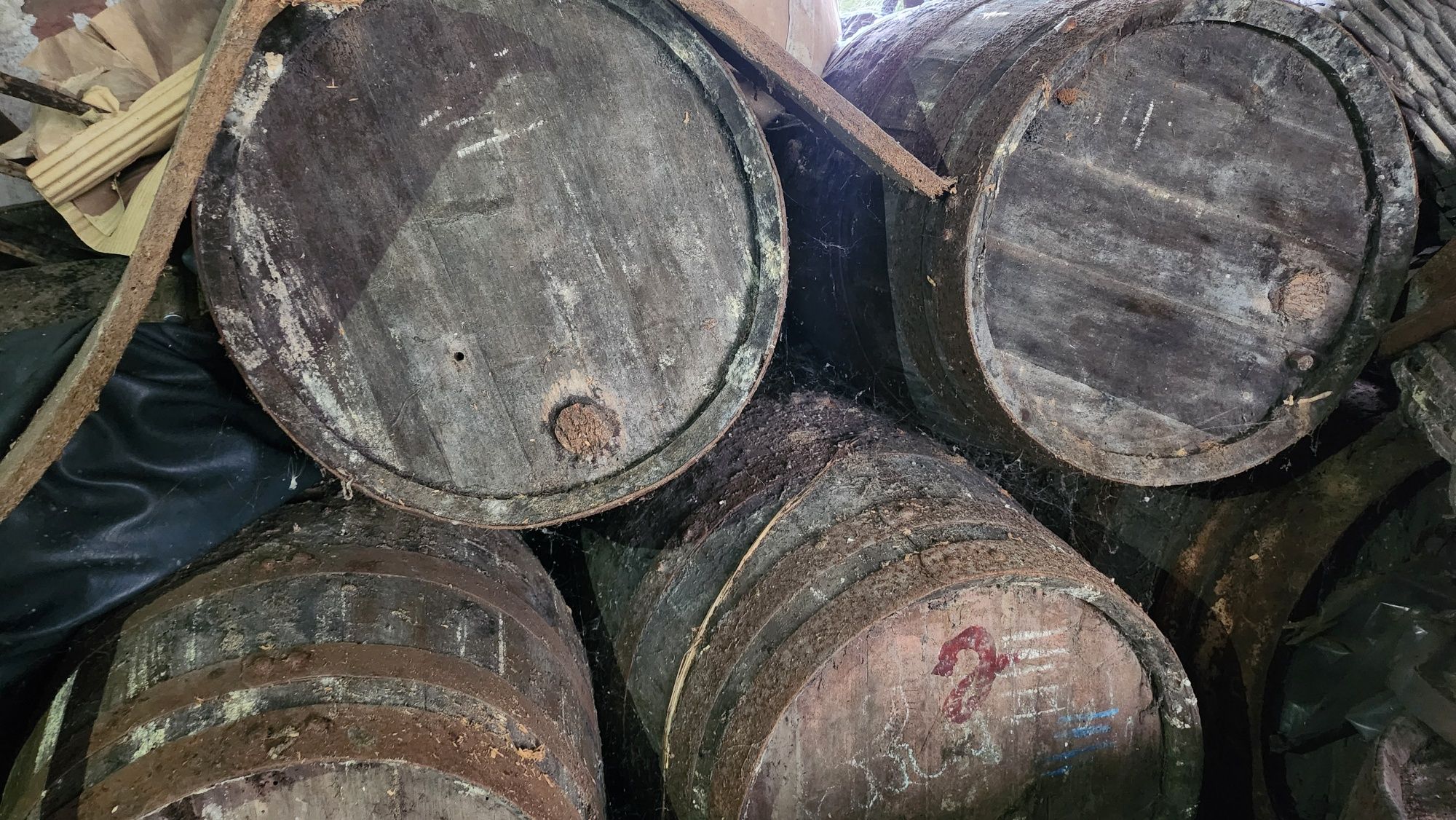 Equipamentos para fazer vinho