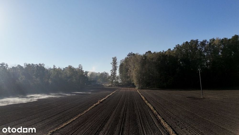 Sprzedaż działki  – cicha okolica 16 km od Kalisza